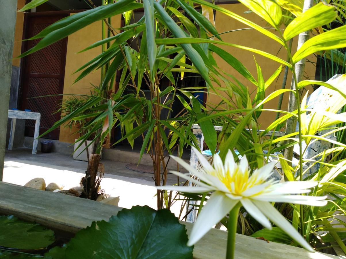 Cycling Backpacker Hostel & Cafe Unawatuna Eksteriør billede
